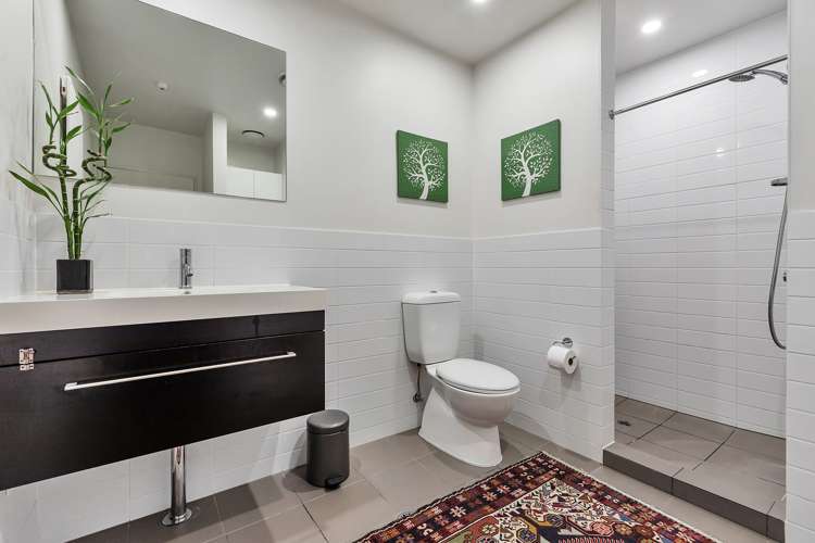 424b Richmond Road Grey Lynn_14