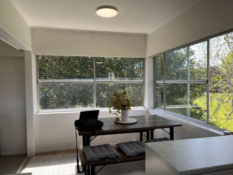 17 Spring Street Papatoetoe_4