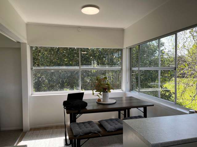 17 Spring Street Papatoetoe_4