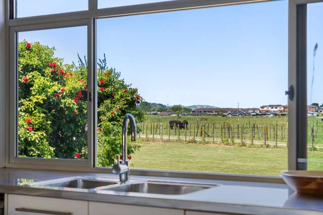 35 Cameron Road Makauri_4