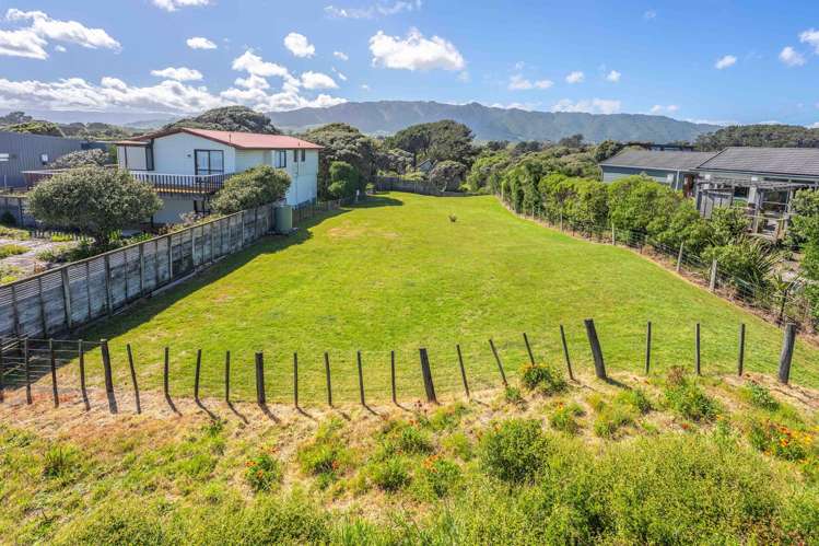 289 Peka Peka Road Peka Peka_8