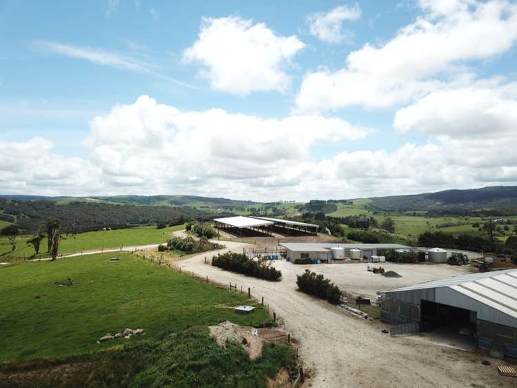 689 Mangatu Road Dargaville Surrounds_1