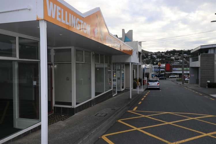 8 Burgess Road Johnsonville_11