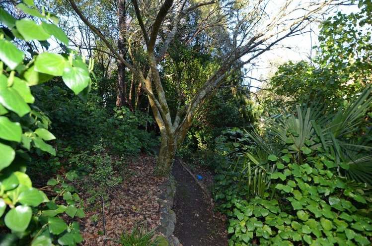 43 Manuka Street Masterton_15