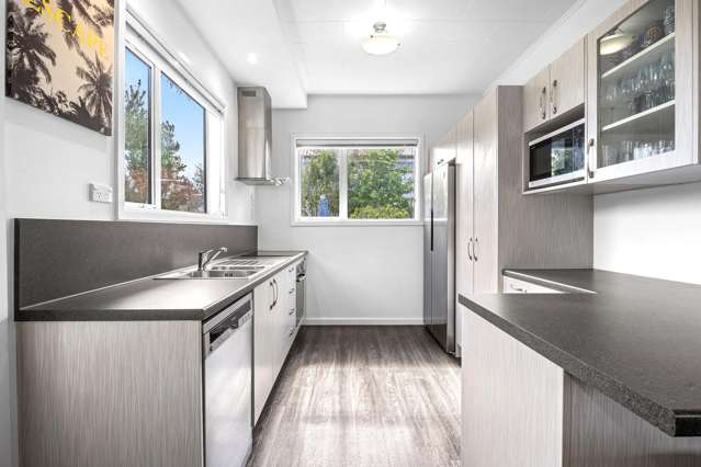163 Simeon Street Spreydon_3
