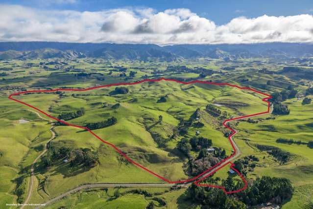 109 France Road Matamau_1