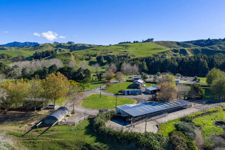 141 Te Mata Road Raglan_15