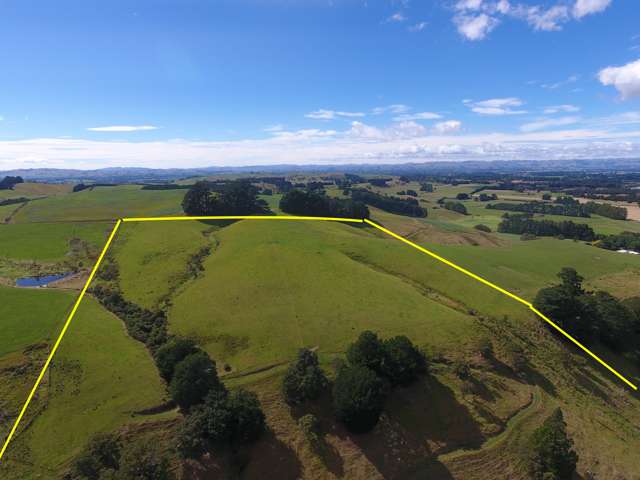 84 Falloon Settlement Road Kaituna_4