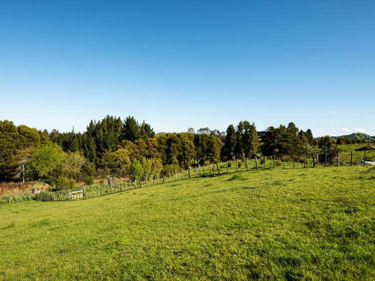 Ruatiti Road Raetihi_12