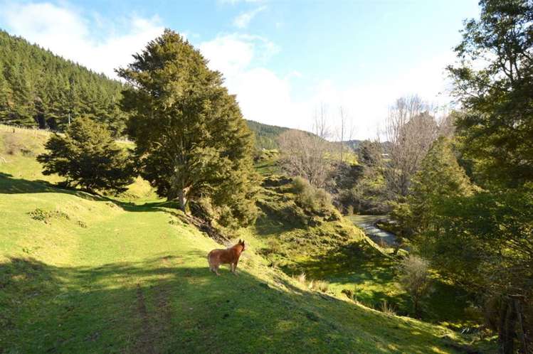 1513 Hikumutu Road Taumarunui_31