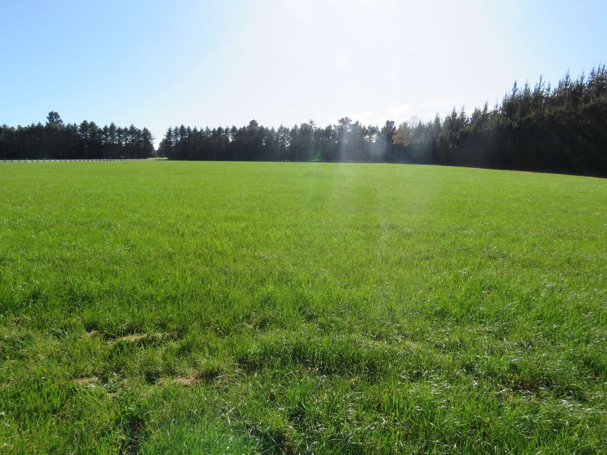 23E Golf Links Drive_3