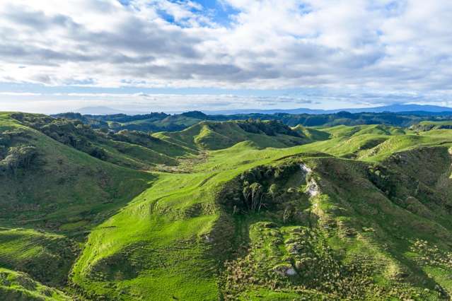 279 Taumatatotara Road Te Kuiti_1