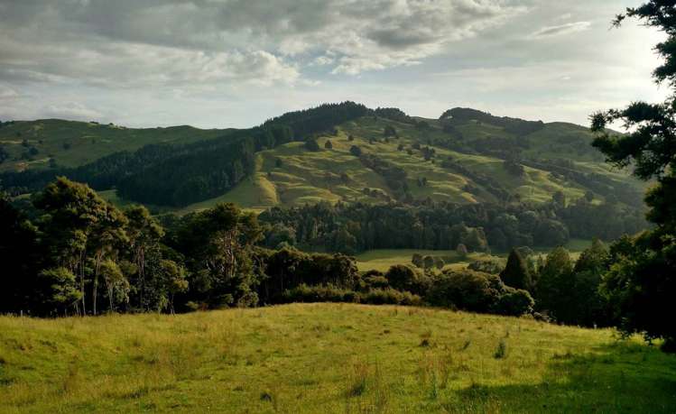 521c Horeke Road Okaihau_0