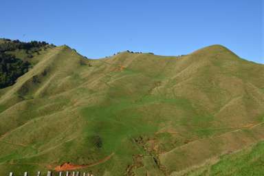 1295 Marokopa Road_4