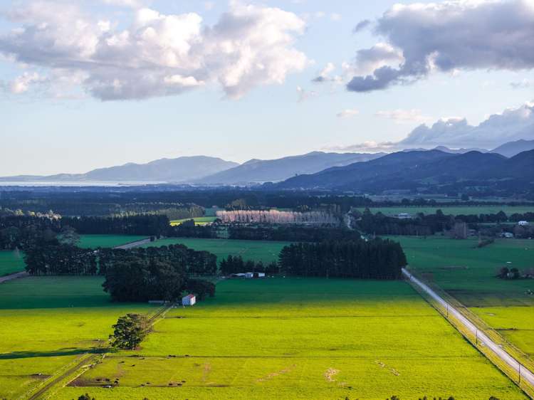 Woodside Road Greytown_9