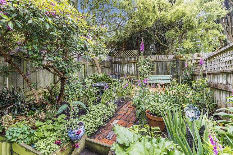 23 Donald Mclean Street Newtown_3