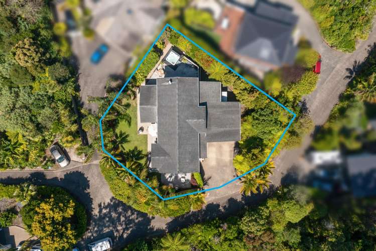 8 Tree Fern Trail Campbells Bay_32