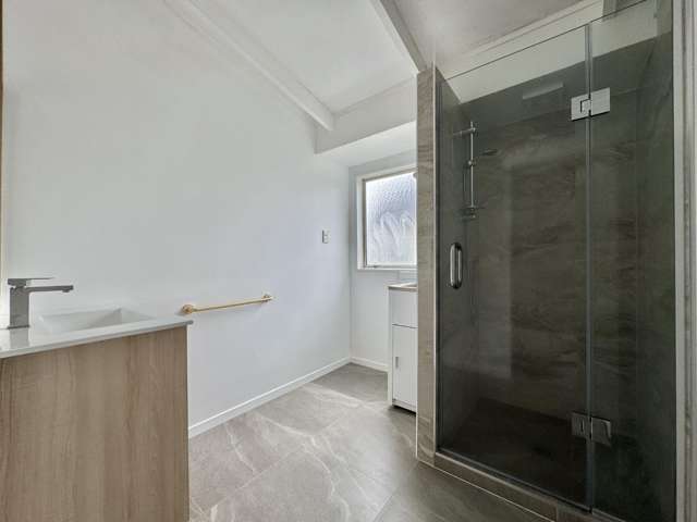 125B Seabrook Ave New Lynn_2