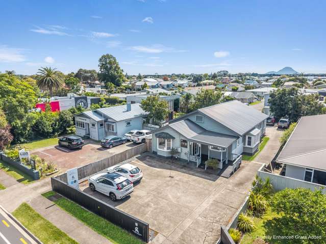 10 Domain Road Whakatane_3