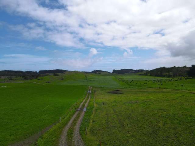 78 Brandon Hall Road Bulls_3