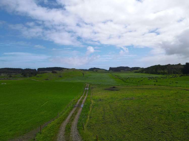 78 Brandon Hall Road Bulls_3