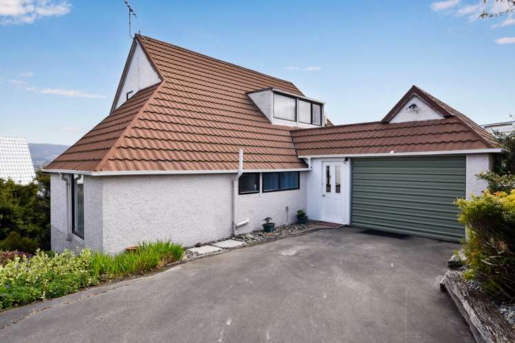 207 Larnach Road Waverley_5