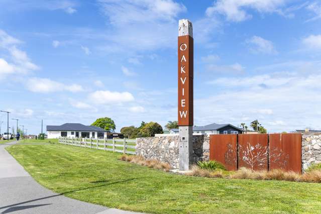 10 Allan Avenue Makauri_1