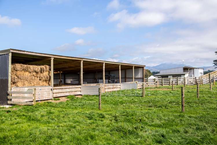 200 Garfield Road Norsewood_6