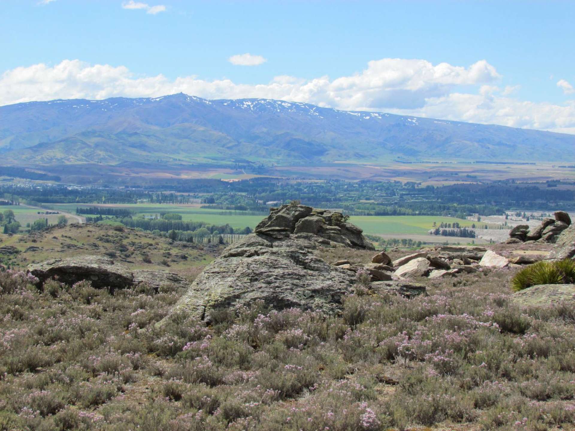 Tor Hill Road Conroys Gully_0