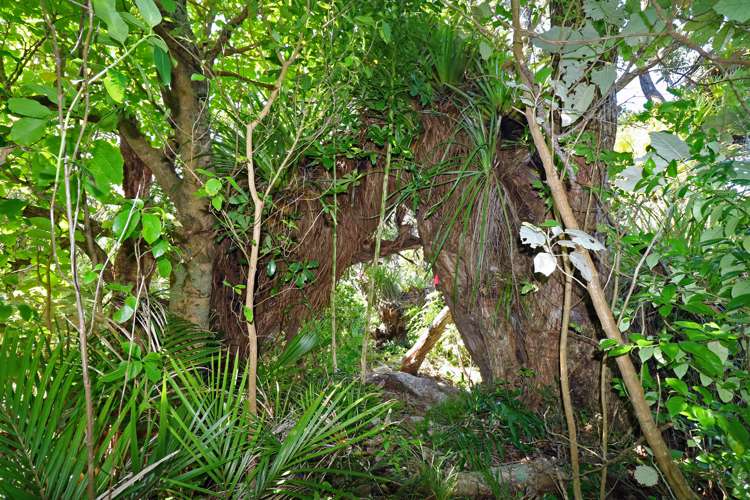 27 Boulder Bay Drive Tuateawa_8