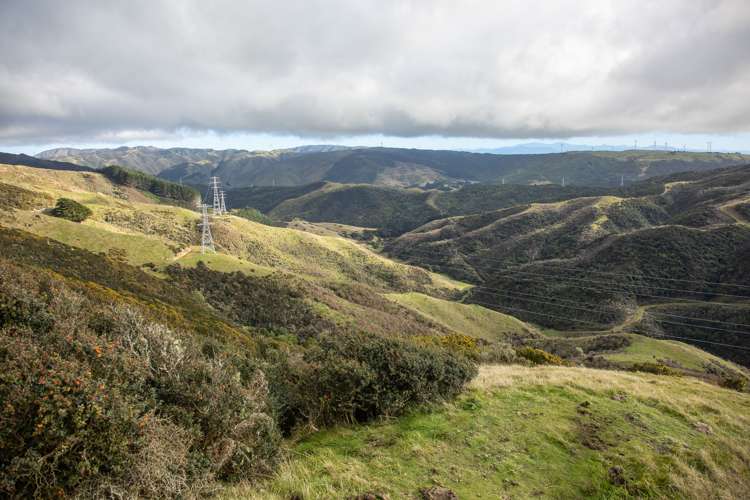 200 Parkvale Road Wilton_21