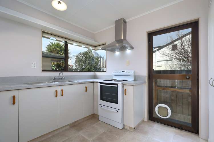 33 Green Street Tahunanui_5