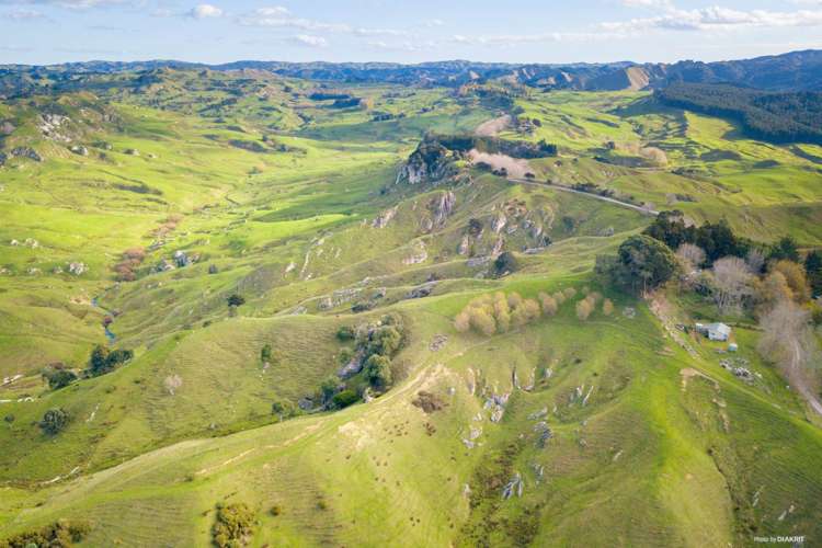 467 Ponganui Road Onewhero_14