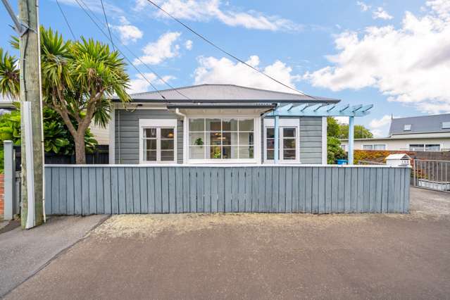 168 Hutt Road Petone_1