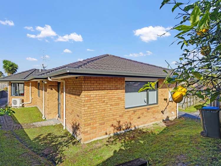 107 Wingate Street Avondale_12
