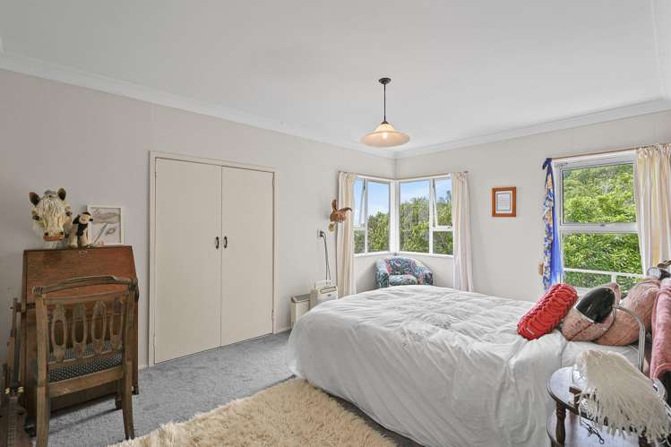 280 Nikau Road, State Highway 67 Nikau_18