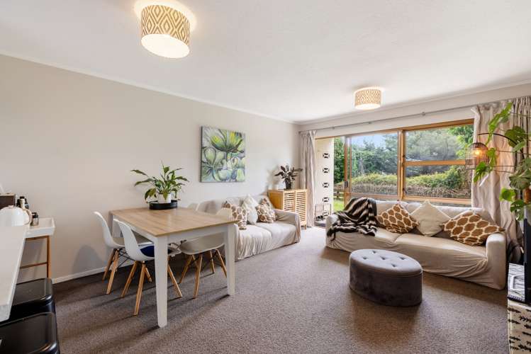 2/14 Williams Street Tauranga Central_0