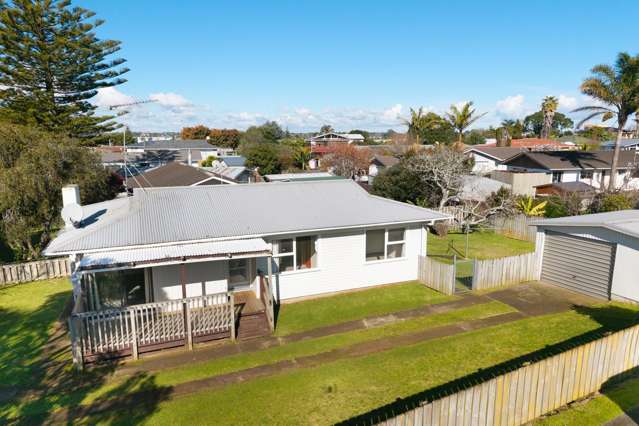 Mangere bridge village fringe