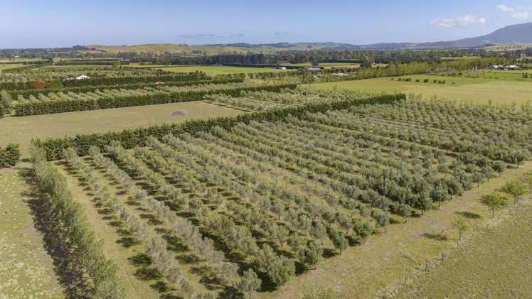 206 Mount Brown Road Broomfield_42