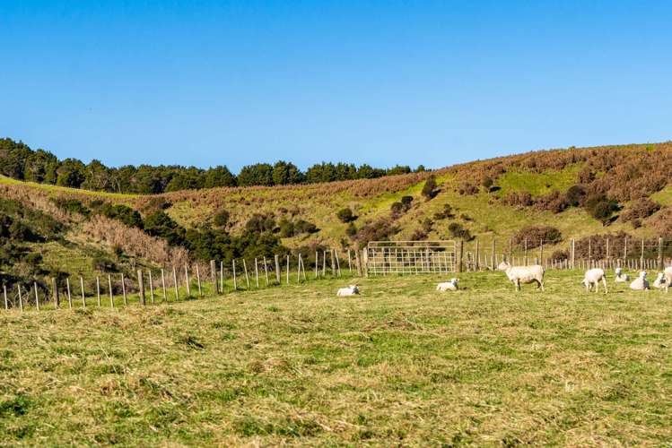 1645 Matapouri Road Matapouri_18