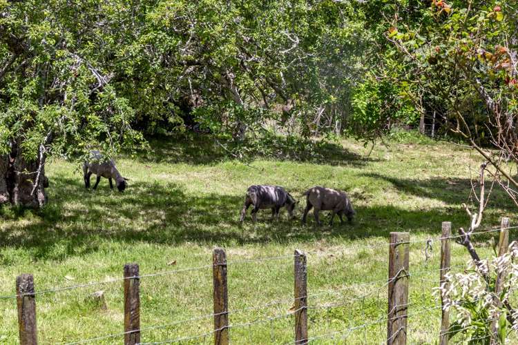 9 Pukearuhe Road Urenui_19