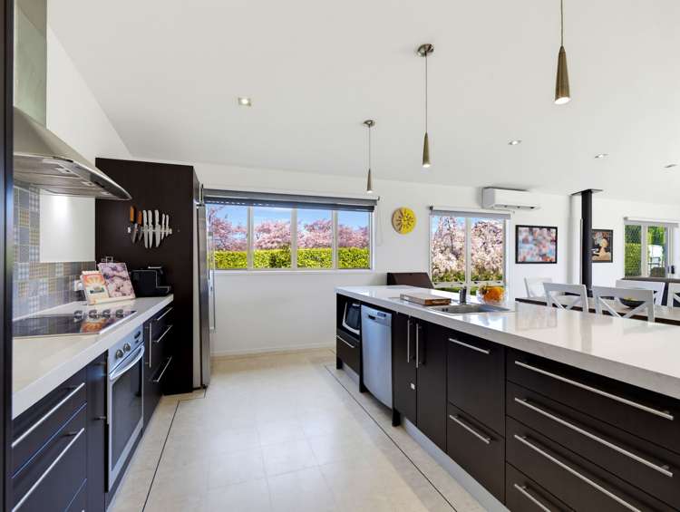 4 Pukeko Lane_4