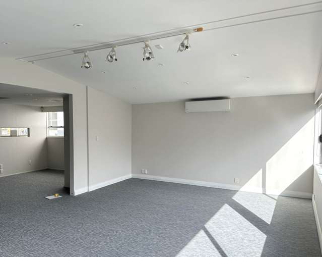 51 Randolph Street Eden Terrace_2