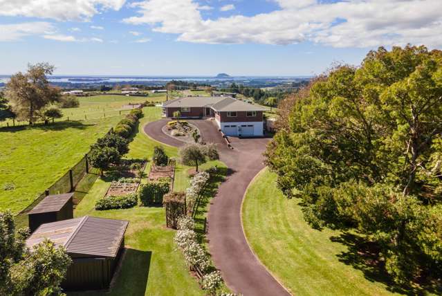 354a Whakamarama Road Whakamarama_1