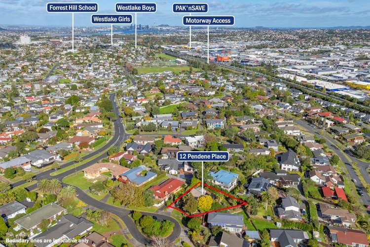 12 Pendene Place Forrest Hill_20