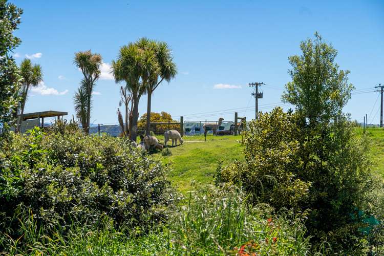 110 Te Wharau Road Gladstone_18