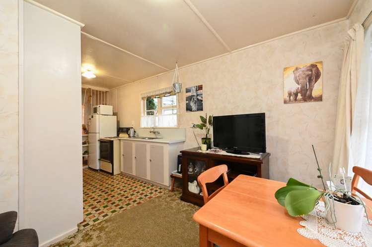 12 Barton Avenue Marewa_6