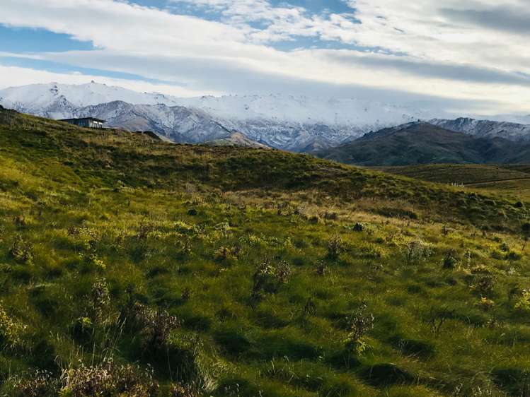 51 Pihoihoi Road Waikerikeri_24