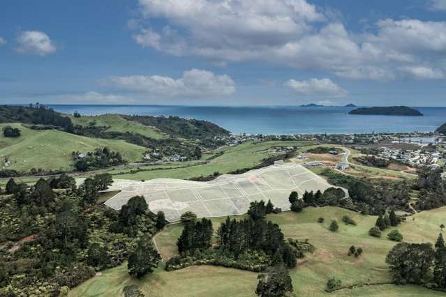 - Pepe Ridge Tairua_1