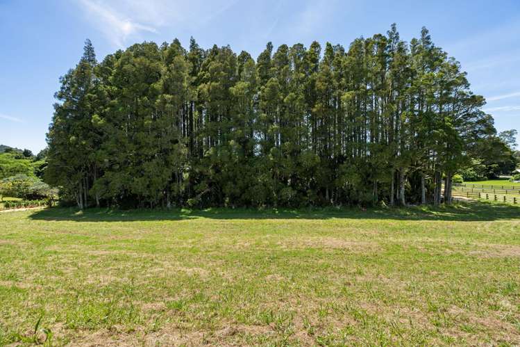 Lots 2 & 3/56 Smithville Road Te Kamo_19